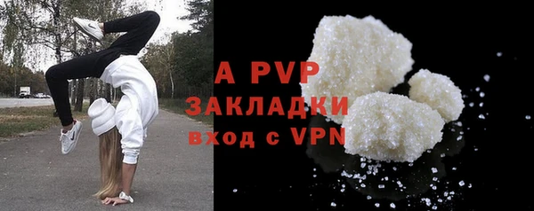 гидра Кодинск
