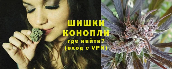 гидра Кодинск