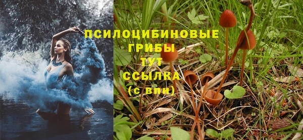 гидра Кодинск
